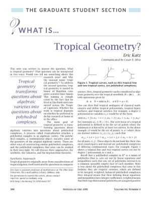 Tropical Geometry? Eric Katz Communicated by Cesar E