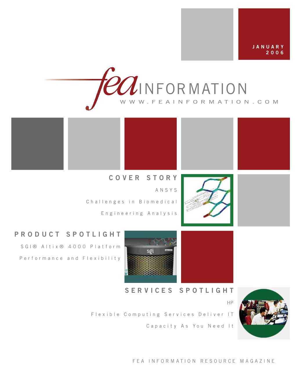 FEA Newsletter January 2006