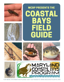 Coastal Bays Field Guide