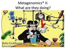 Metagenomics II: What Are They Doing?