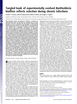 Tangled Bank of Experimentally Evolved Burkholderia Biofilms