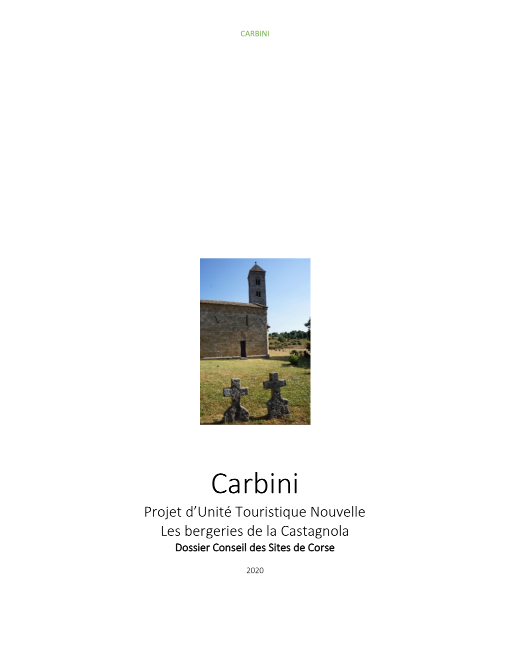 Carbini Rapport UTN 082020