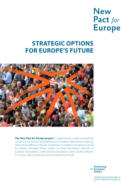 Strategic Options for Europe's Future