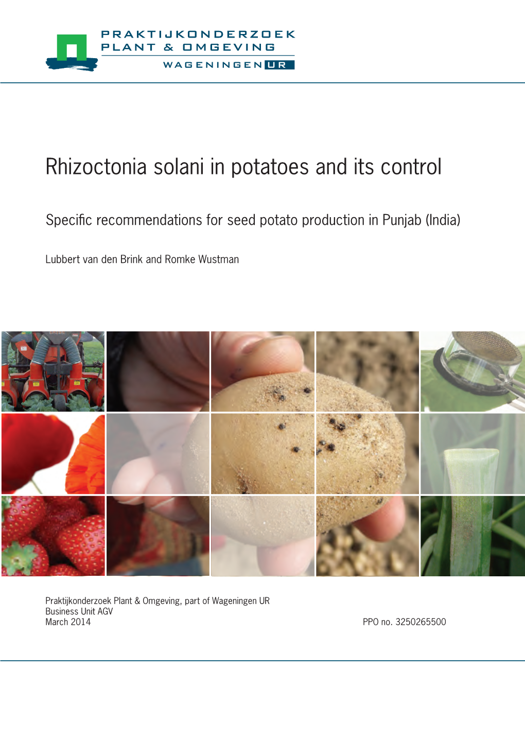 Rhizoctonia Solani in Potatoes and Its Control