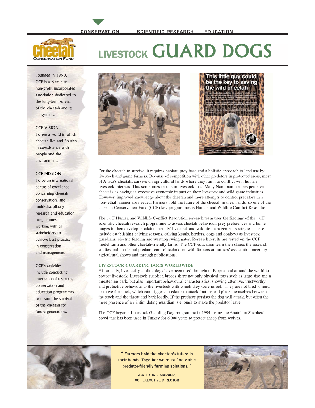 Livestock Guard Dogs