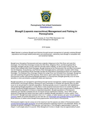 Bluegill (Lepomis Macrochirus) Management and Fishing in Pennsylvania