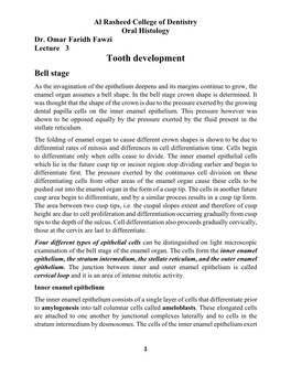 Tooth Development Bell Stage As the Invagination of the Epithelium Deepens and Its Margins Continue to Grow, the Enamel Organ Assumes a Bell Shape