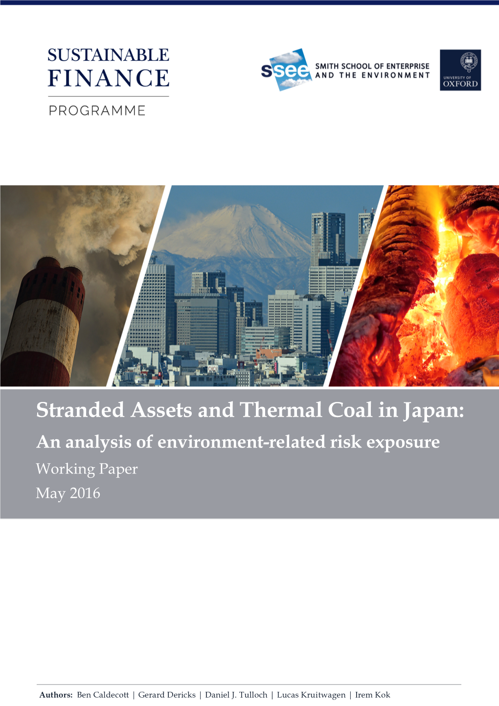 Stranded Assets and Thermal Coal in Japan: an Analysis of Environment-Related Risk Exposure Working Paper May 2016