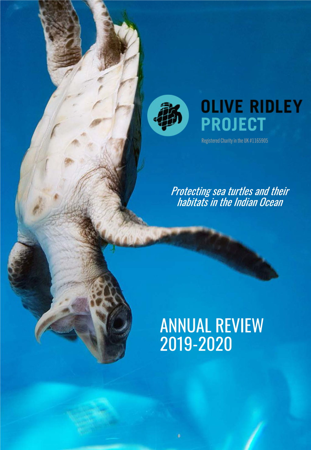 ORP Annual Review 2019-2020