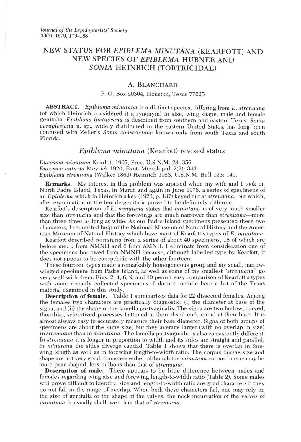 New Species of Epiblema Hubner and Sonia Heinrich (Tortricidae)