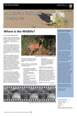 Mojave National Preserve Has Information About Where to One of the Most Diverse Collections of Find Flowers Is Included in This Wildlife in the Southwest