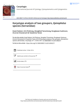 Karyotype Analysis of Two Groupers, Epinephelus Species (Serranidae)