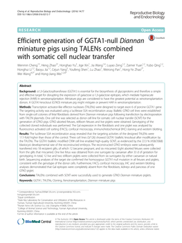 Efficient Generation of GGTA1-Null Diannan Miniature Pigs Using