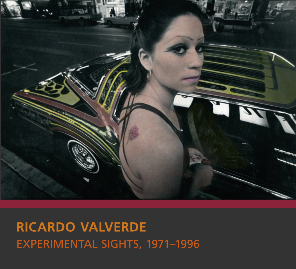 Ricardo Valverde: Experimental Sights, 1971–1996, an Exhibition at Vincent