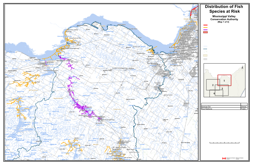 Distribution of Fish Species at Risk