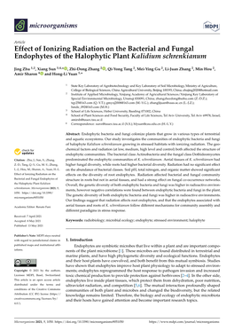 Effect of Ionizing Radiation on the Bacterial and Fungal Endophytes of the Halophytic Plant Kalidium Schrenkianum