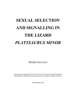 Sexual Selection and Signalling in the Lizard Platysaurus Minor