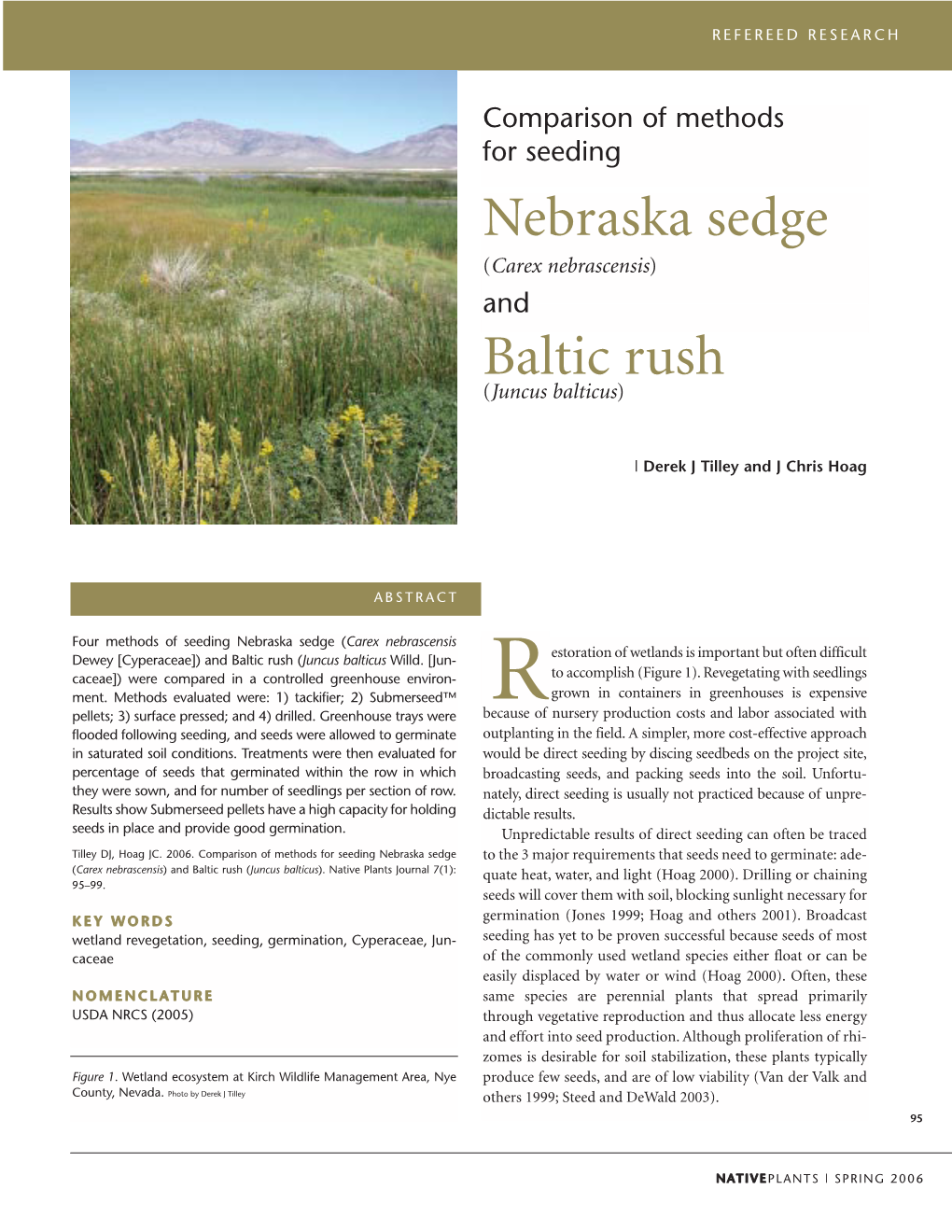 And Baltic Rush (Juncus Balticus )
