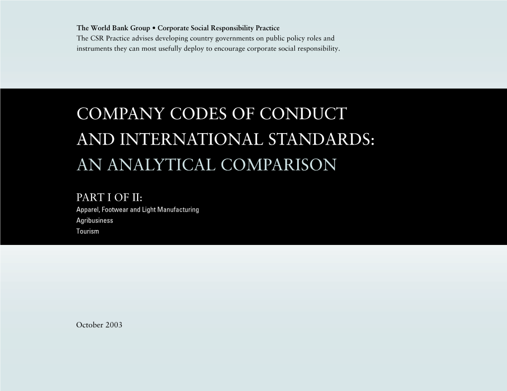 Company Codes of Conduct and International Standards: an Analytical Comparison