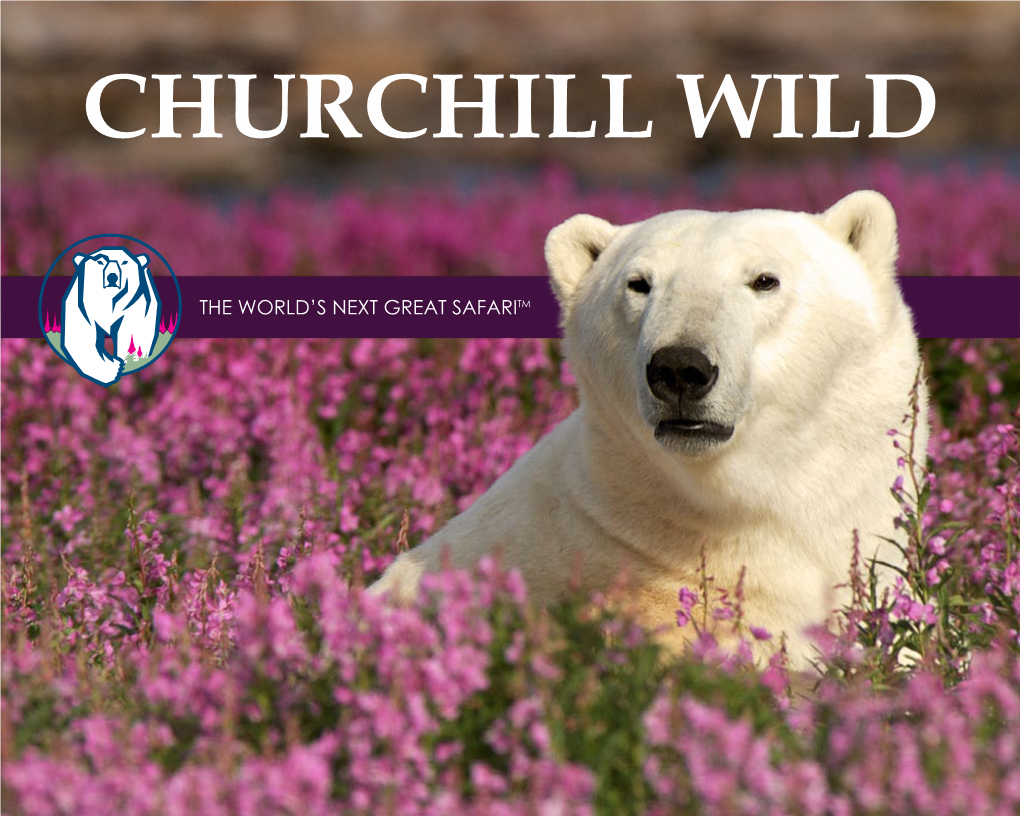 2021-Churchill-Wild-Brochure.Pdf