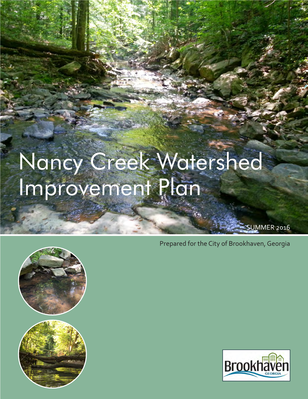 Nancy Creek Watershed Improvement Plan