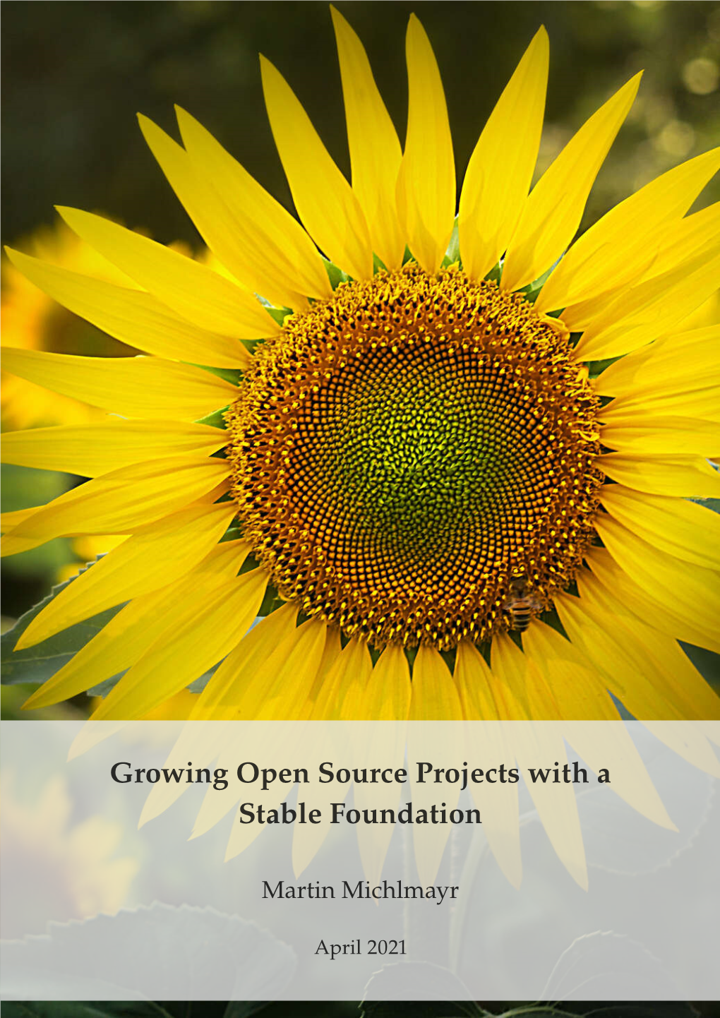 Growing Open Source Projects with a Stable Foundation