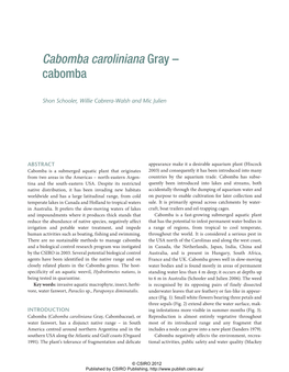 Cabomba Caroliniana Gray – Cabomba