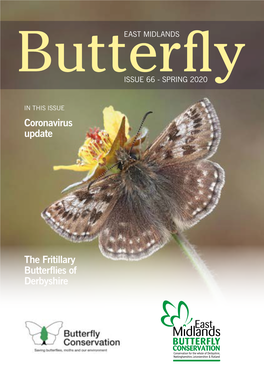 Coronavirus Update the Fritillary Butterflies of Derbyshire