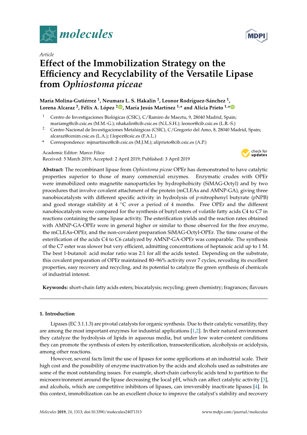 Effect of the Immobilization Strategy on the Efficiency and Recyclability