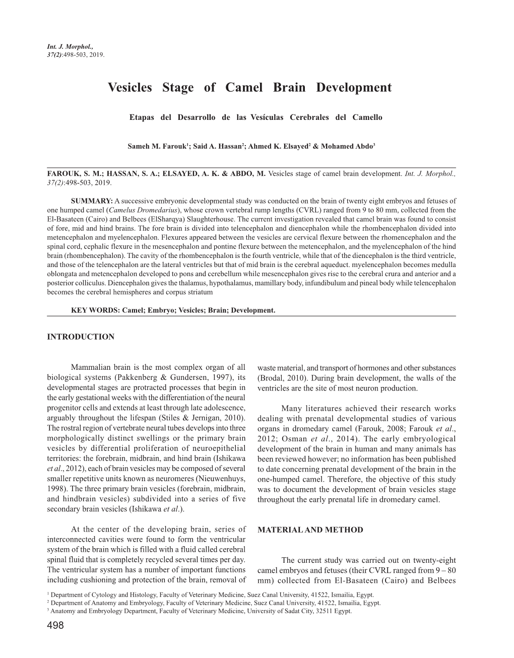 Vesicles Stage of Camel Brain Development