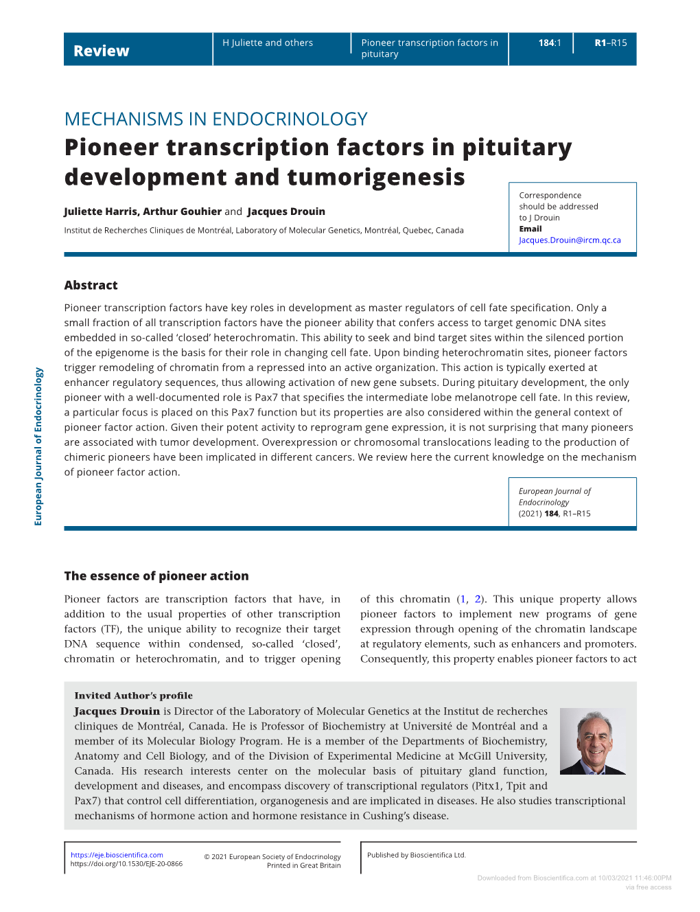 Pioneer Transcription Factors in Pituitary Development And