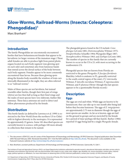 Glow-Worms, Railroad-Worms (Insecta: Coleoptera: Phengodidae)1 Marc Branham2