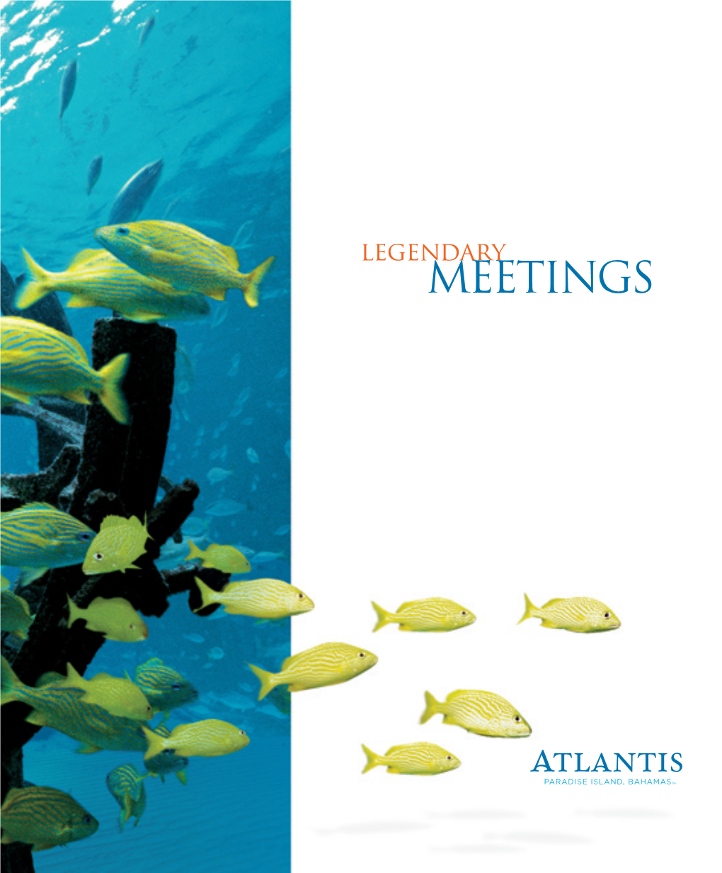 MEETINGS Gather Beyond Your World