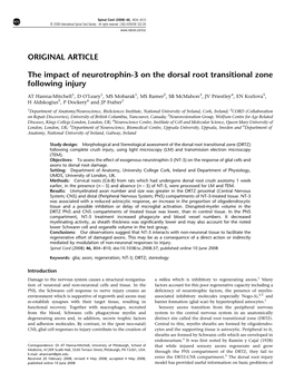 The Impact of Neurotrophin-3 on the Dorsal Root Transitional Zone Following Injury