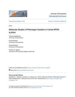 Molecular Studies of Phenotype Variation in Canine RPGR-XLPRA1
