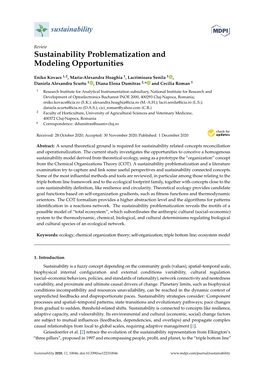 Sustainability Problematization and Modeling Opportunities