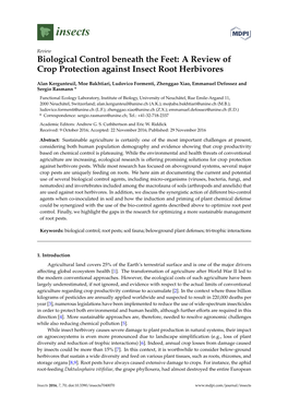 Biological Control Beneath the Feet: a Review of Crop Protection Against Insect Root Herbivores