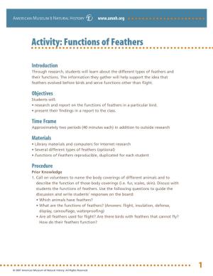 Activity: Functions of Feathers