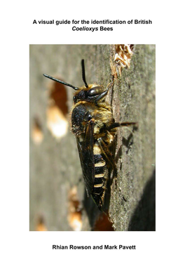 A Visual Guide for the Identification of British Coelioxys Bees