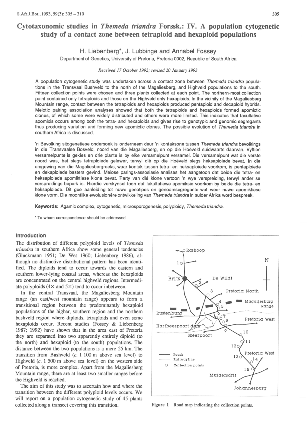 Cytotaxonomic Studies in Themeda Triandra Forssk.: IV
