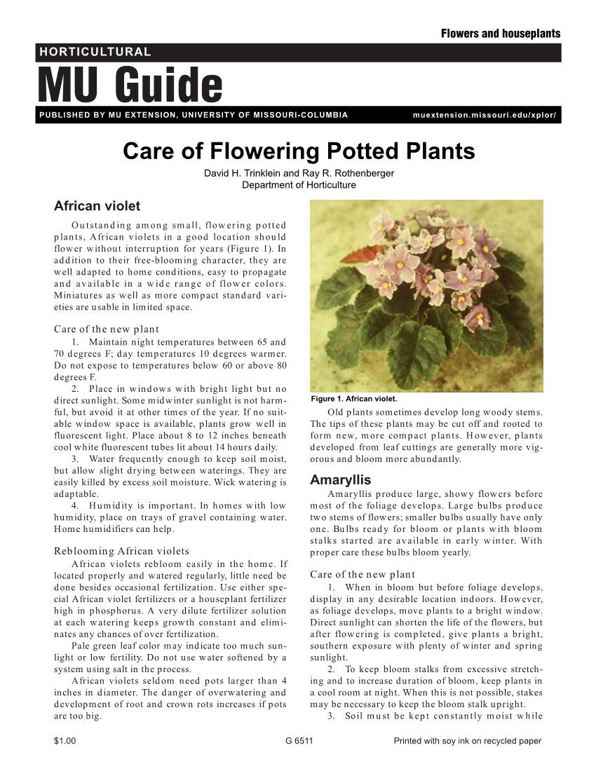 Care of Flowering Potted Plants David H