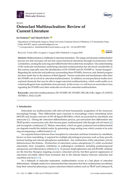 Osteoclast Multinucleation: Review of Current Literature