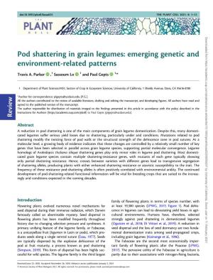 Pod Shattering in Grain Legumes: Emerging Genetic and Environment-Related Patterns
