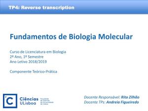 Fundamentos De Biologia Molecular