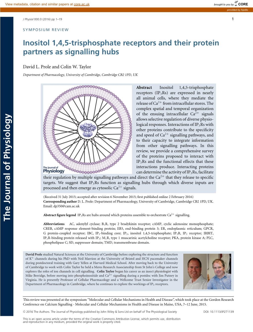 Inositol 1,4,5&#X02010;Trisphosphate Receptors and Their Protein