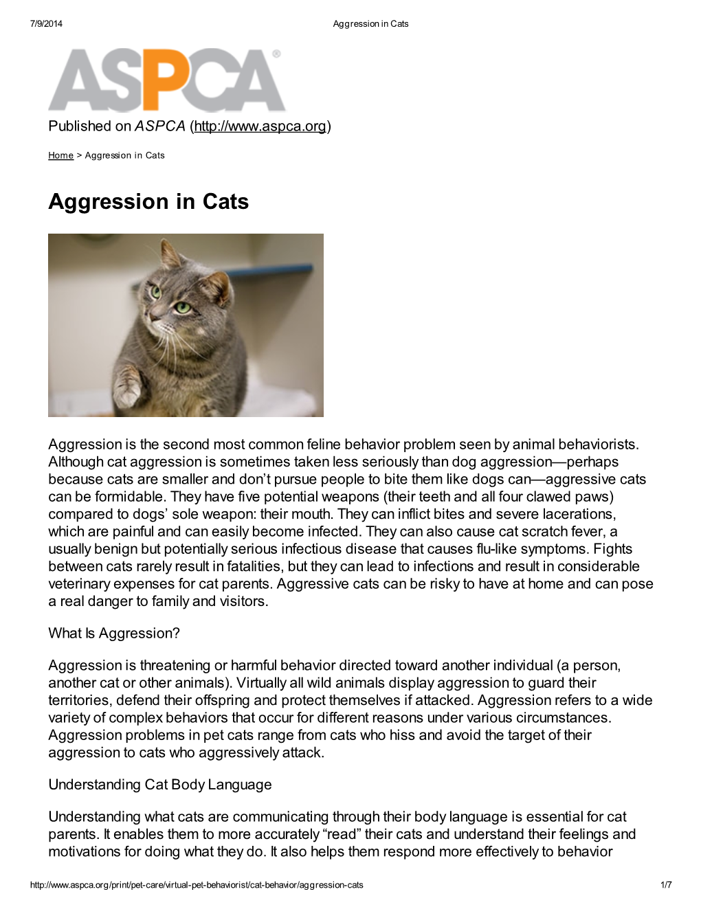 Aggression in Cats