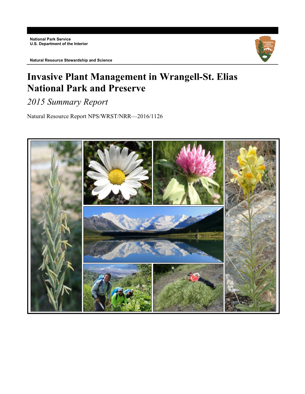 Invasive Plant Management in Wrangell-St. Elias National Park and Preserve 2015 Summary Report