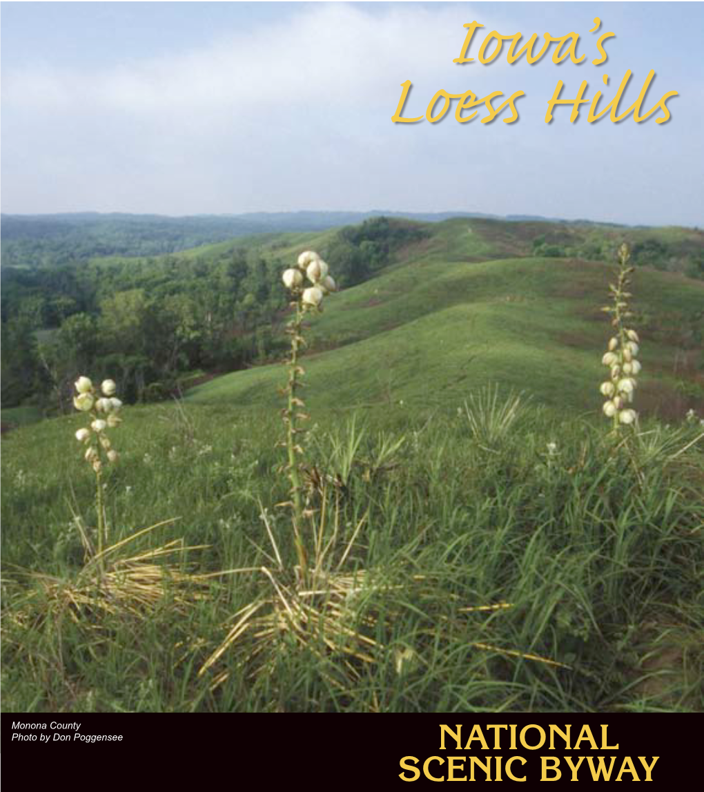 Iowa's Loess Hills