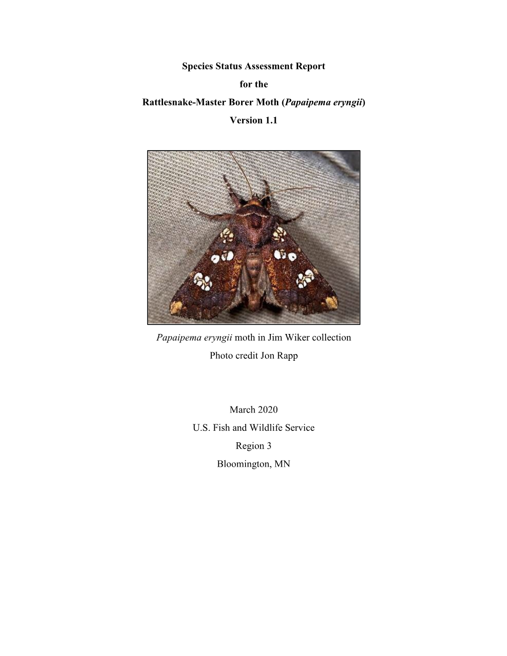 Species Status Assessment Report for the Rattlesnake-Master Borer Moth (Papaipema Eryngii) Version 1.1