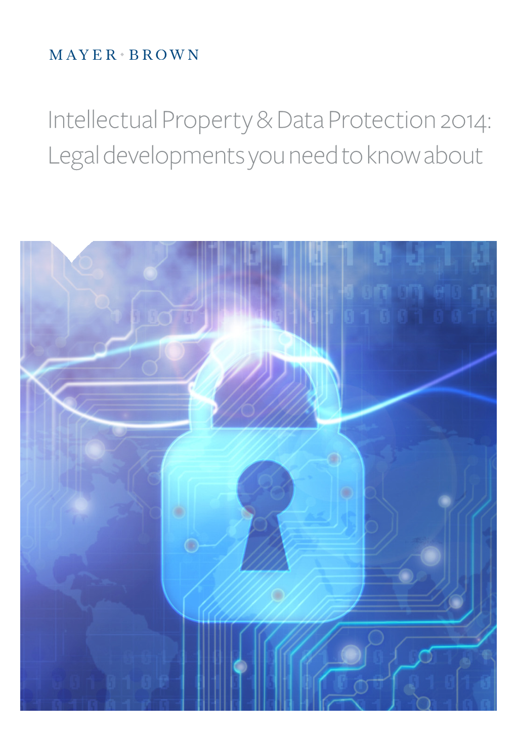 Intellectual Property & Data Protection 2014
